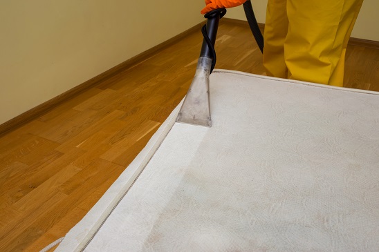 Oriental rug cleaning
